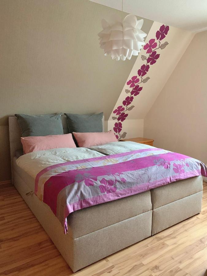 Ferienwohnung Paulita 索尔陶 外观 照片